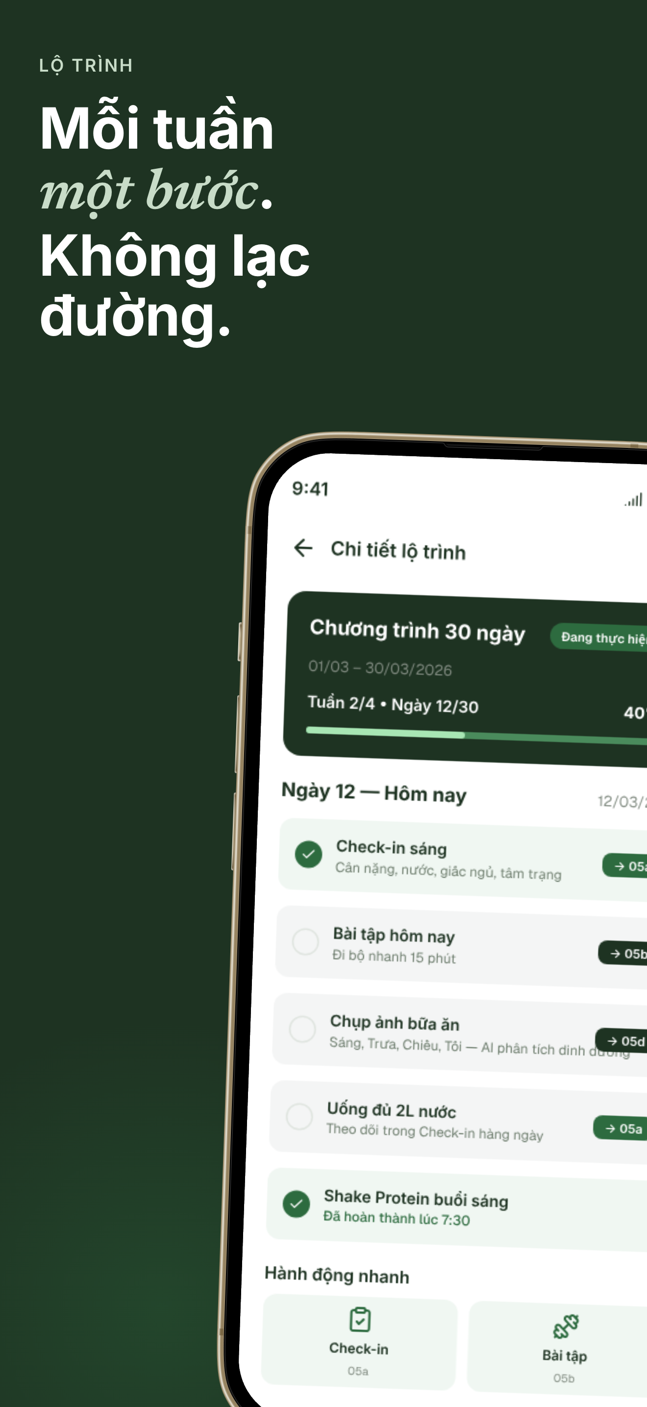 Lộ trình 12 tuần với các mốc tuần và check-in hằng ngày